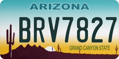 AZ license plate BRV7827