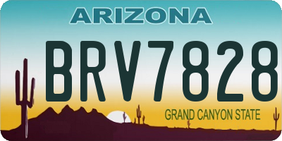 AZ license plate BRV7828