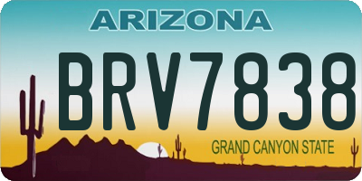 AZ license plate BRV7838