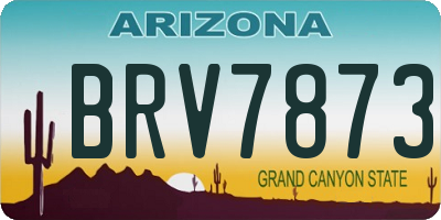 AZ license plate BRV7873