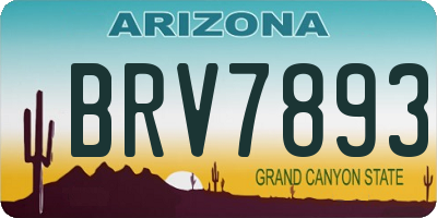 AZ license plate BRV7893