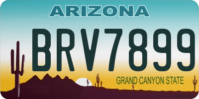 AZ license plate BRV7899