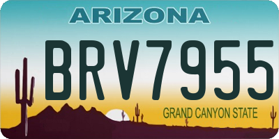 AZ license plate BRV7955