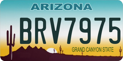 AZ license plate BRV7975