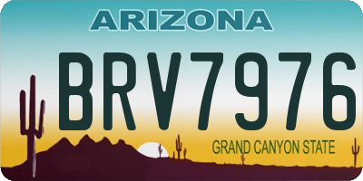 AZ license plate BRV7976
