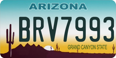 AZ license plate BRV7993