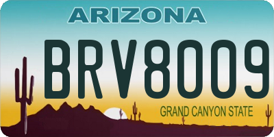 AZ license plate BRV8009
