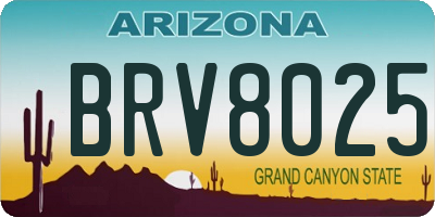 AZ license plate BRV8025