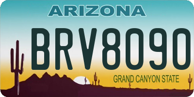 AZ license plate BRV8090