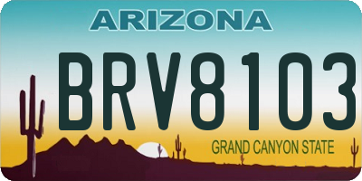 AZ license plate BRV8103