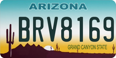 AZ license plate BRV8169