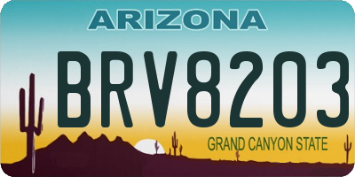 AZ license plate BRV8203