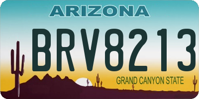 AZ license plate BRV8213