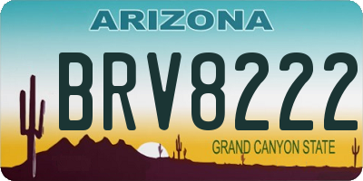 AZ license plate BRV8222