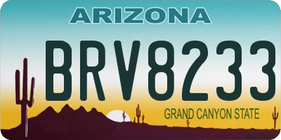 AZ license plate BRV8233