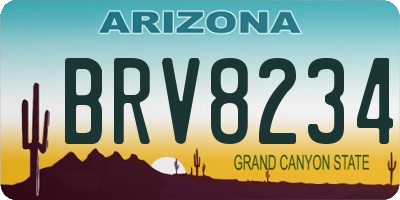 AZ license plate BRV8234