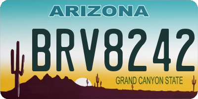 AZ license plate BRV8242
