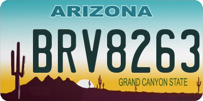 AZ license plate BRV8263