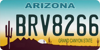 AZ license plate BRV8266