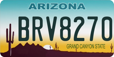 AZ license plate BRV8270