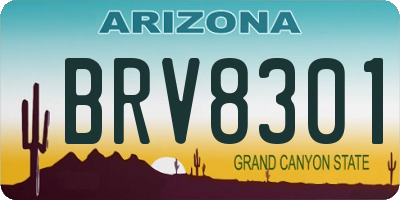 AZ license plate BRV8301