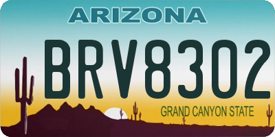 AZ license plate BRV8302