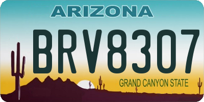 AZ license plate BRV8307