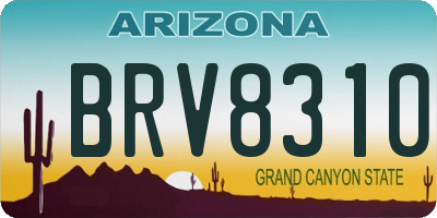 AZ license plate BRV8310