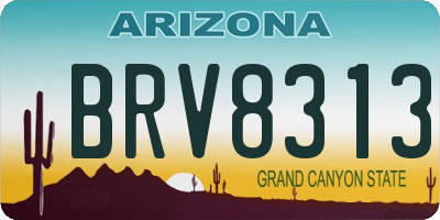 AZ license plate BRV8313