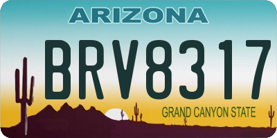 AZ license plate BRV8317
