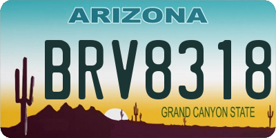 AZ license plate BRV8318