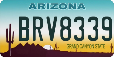 AZ license plate BRV8339
