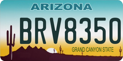 AZ license plate BRV8350