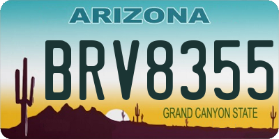 AZ license plate BRV8355