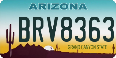 AZ license plate BRV8363