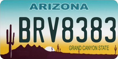 AZ license plate BRV8383