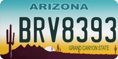 AZ license plate BRV8393