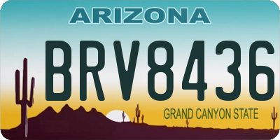 AZ license plate BRV8436