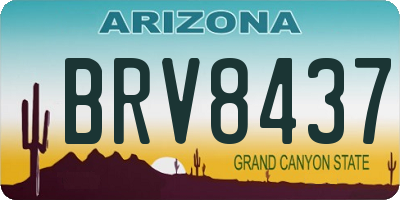 AZ license plate BRV8437