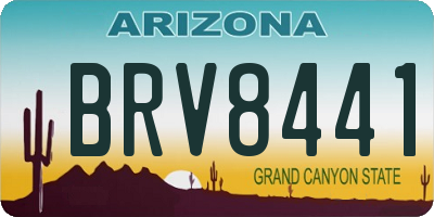 AZ license plate BRV8441