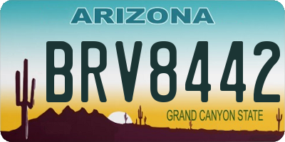 AZ license plate BRV8442