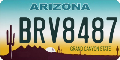 AZ license plate BRV8487