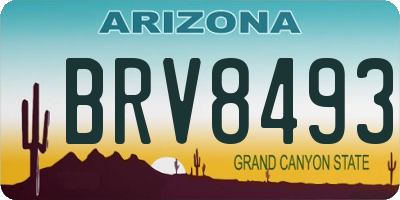AZ license plate BRV8493