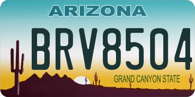 AZ license plate BRV8504