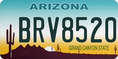 AZ license plate BRV8520