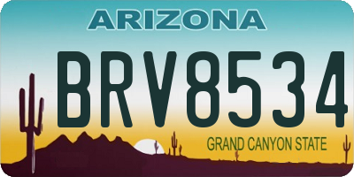 AZ license plate BRV8534