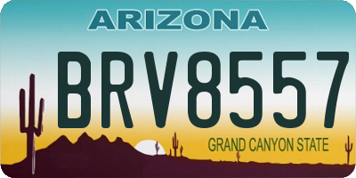 AZ license plate BRV8557