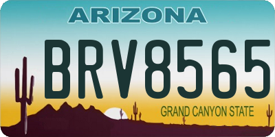 AZ license plate BRV8565