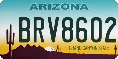 AZ license plate BRV8602