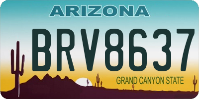 AZ license plate BRV8637